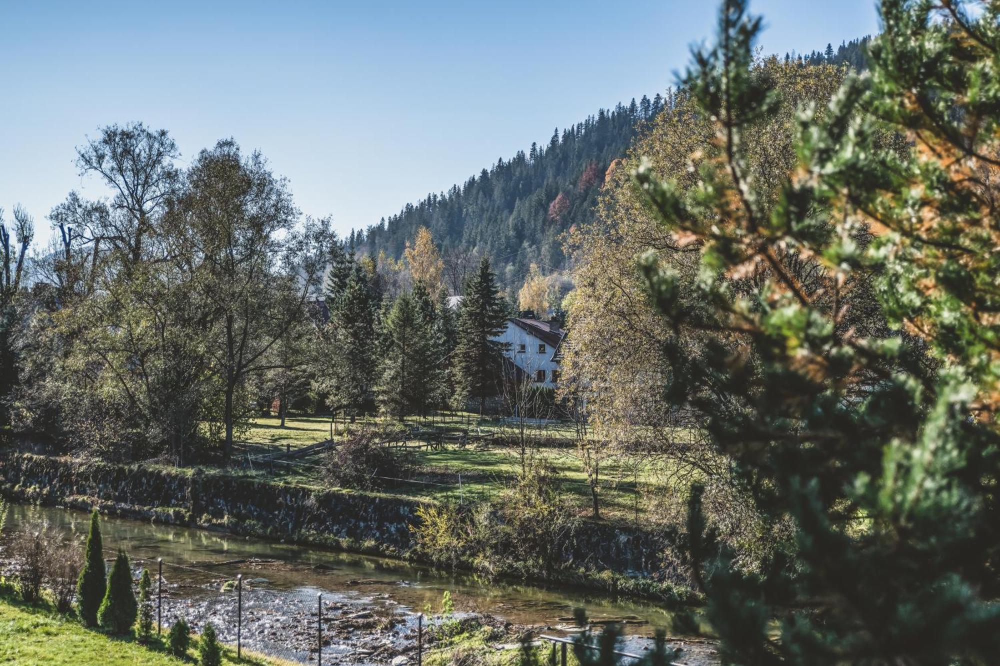 Pokoje Goscinne Na Stromej Zakopane Ngoại thất bức ảnh